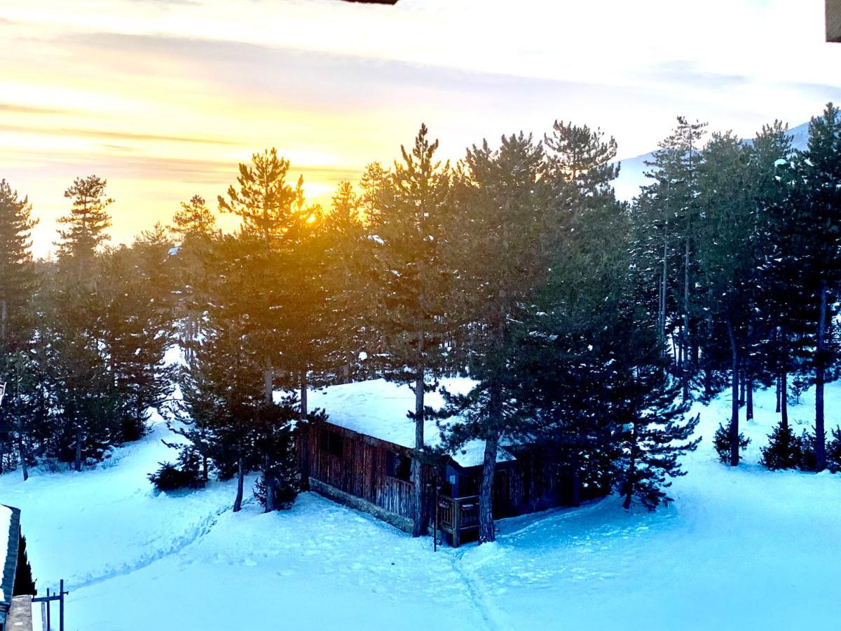 Entire Private Apartment In Pirin Golf & Country Club Bansko Zewnętrze zdjęcie